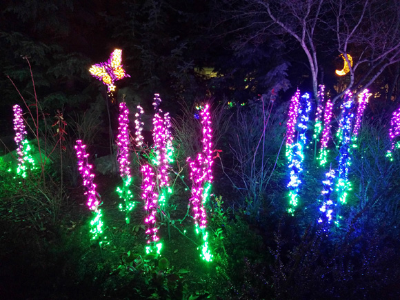 Garden d'Lights