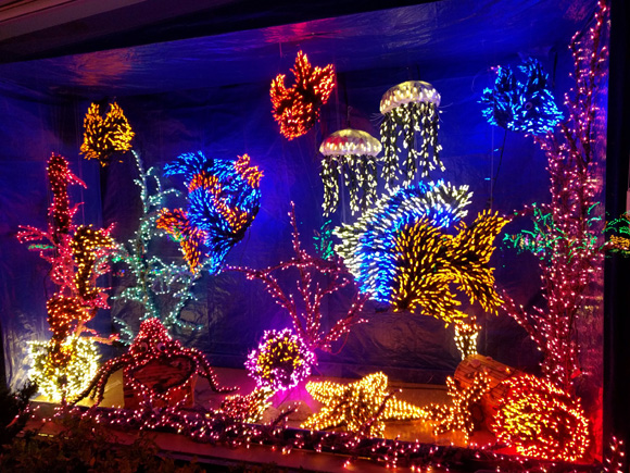 Garden d'Lights