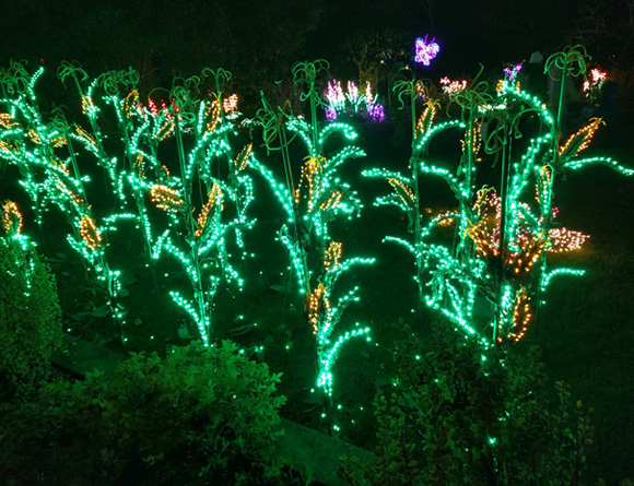 Garden d'Lights