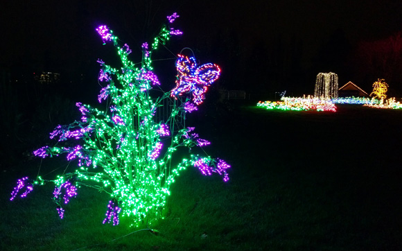 Garden d'Lights