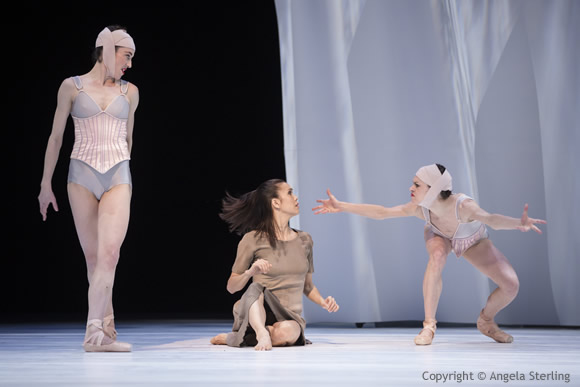 PNB Cendrillon