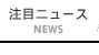 注目ニュース