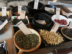 15th ave coffee and tea