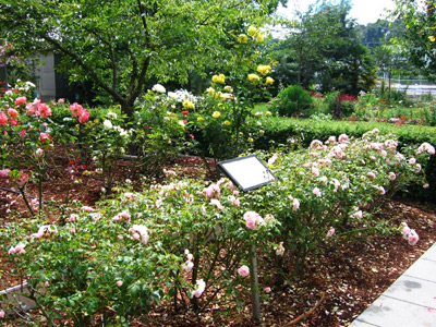 Carl S. English, Jr. Botanical Gardens