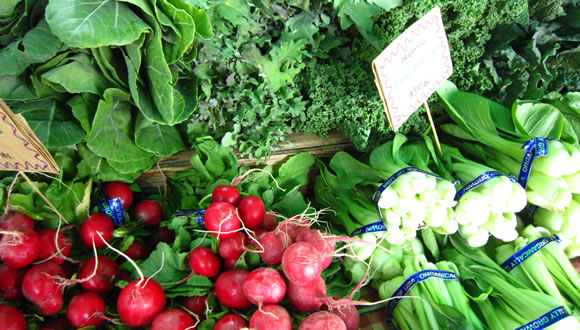 feature-farmers-market-1