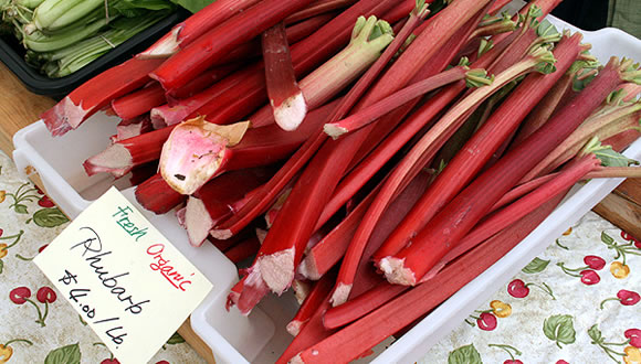 feature-farmers-market-2
