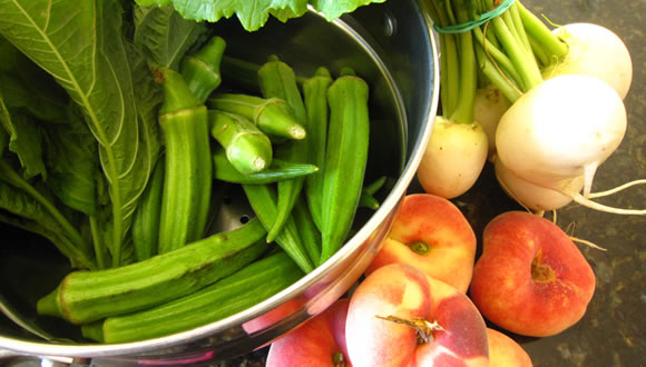 feature-farmers-market-6