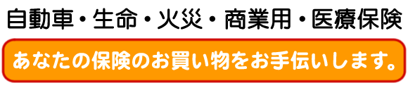hirano-holcomb-insurance-agency-copy