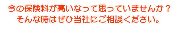 hirano-holcomb-insurance-agency-copy2