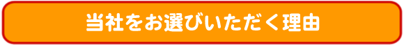 hirano-holcomb-insurance-agency-copy4