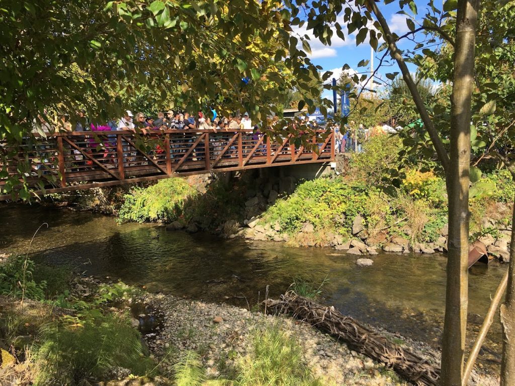 issaquah-salmon-days-1 - junglecity.com