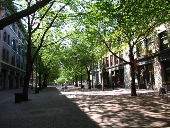 occidental-avenue
