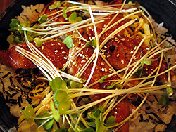 chiso 馳走