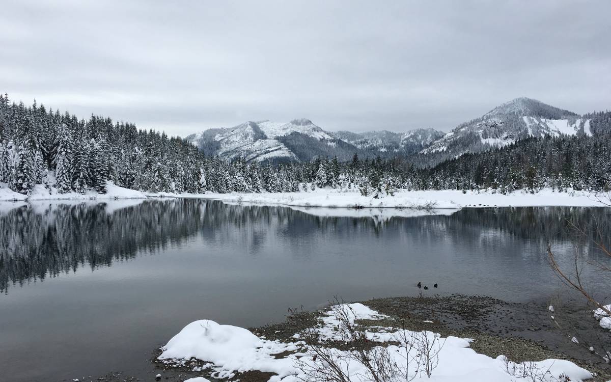 gold-creek-pond-1