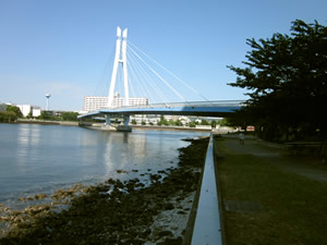 バイオリンのレッスンの帰りに見る運河沿いの風景。