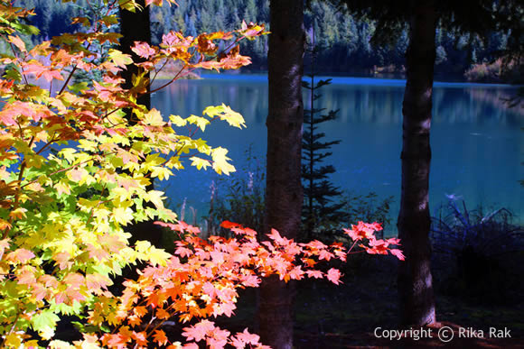 trail-gold-creek-pond-4 - junglecity.com