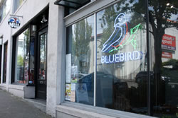bluebird11