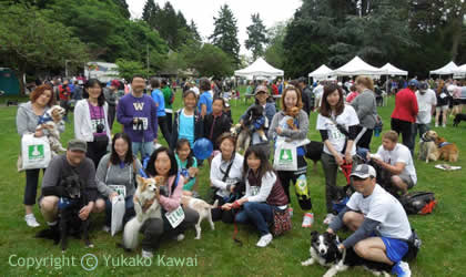 outdoor-5k-run-furry