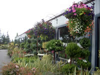 skynursery1