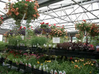 skynursery2