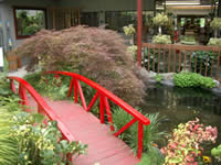 skynursery3