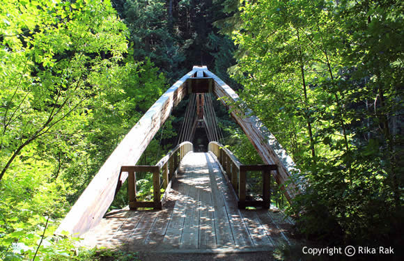 Middle Fork Trail - Upstream