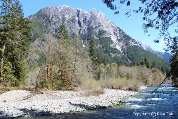 Middle Fork Trail - Upstream