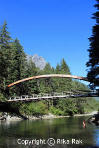 Middle Fork Trail - Upstream