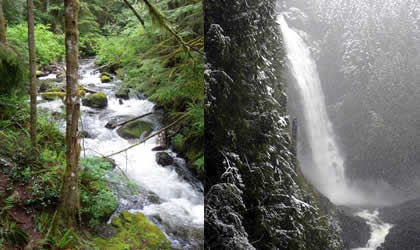 wallace-falls-420