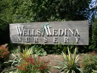 wellsmedina1