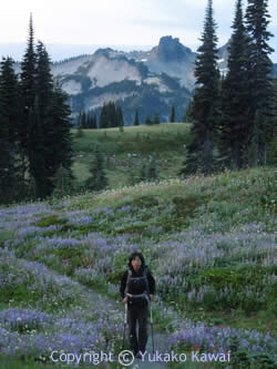 Mount Rainier