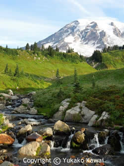 Mount Rainier