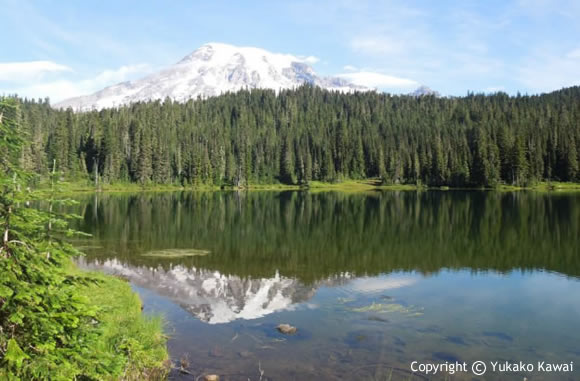 Mount Rainier