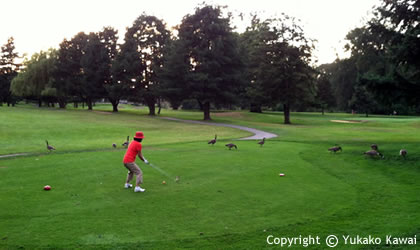 outdoor-golf-420