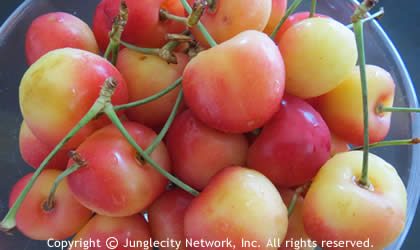 rainier-cherries-420