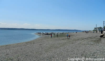 vashon-island-beach2