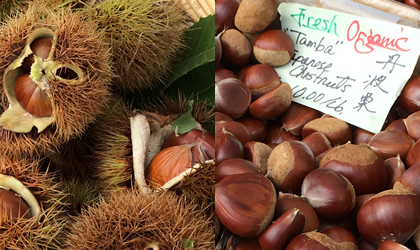 chestnuts-420