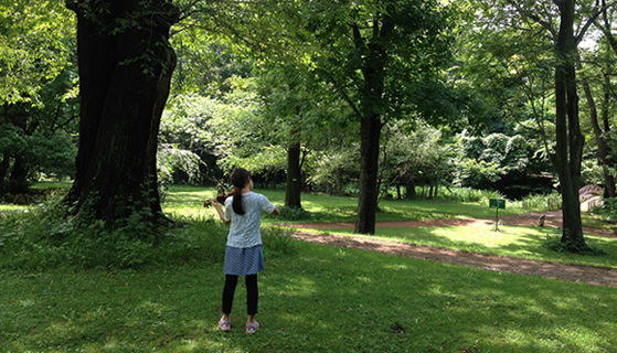 北海道大学植物園の緑に囲まれ、バイオリンの練習