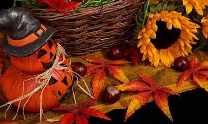 halloween