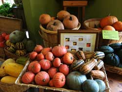 aroma-yoga-and-lunch-08-2014-4