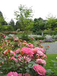 Woodland Park Rose Garden