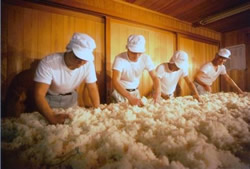 Four workers in white uniforms and caps handle fluffy white cotton-like material along a long production-line table.