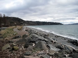 Discovery Park