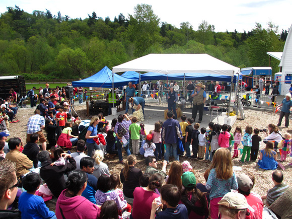 sheep shearing bellevue