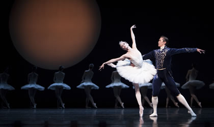 swan-lake
