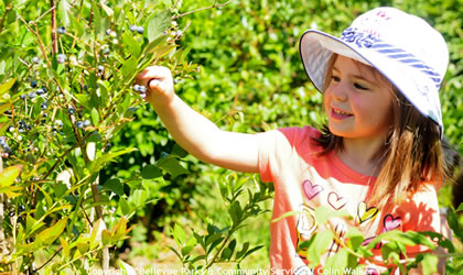 farm-visit-spring-summer-420