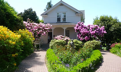 natural-garden-420