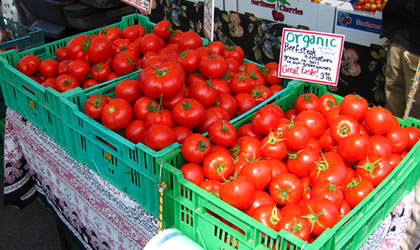 farmers-market-2015-420