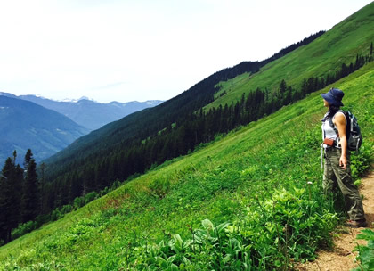 GreenMountain