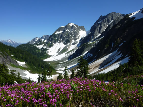 best-hike-cascad-pass